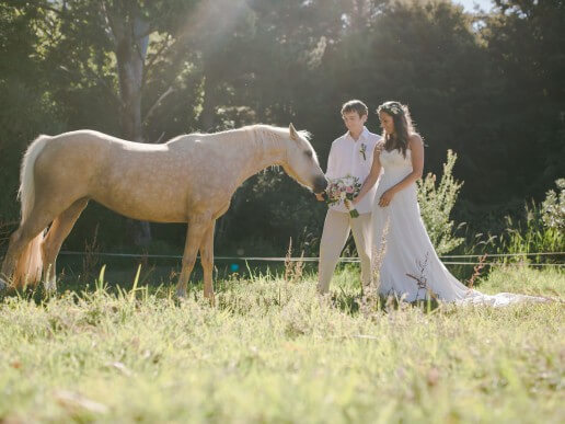 Newlyweds pose with horse