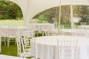 Chiavari Chairs & Cushions